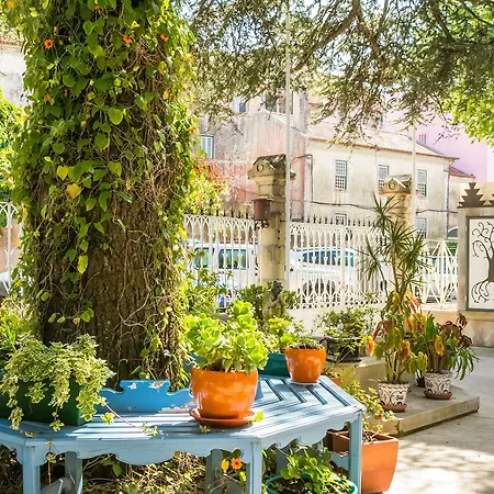 Saudade סינטרה